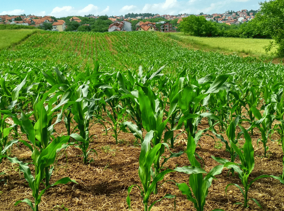 Défi de l’agriculture durable