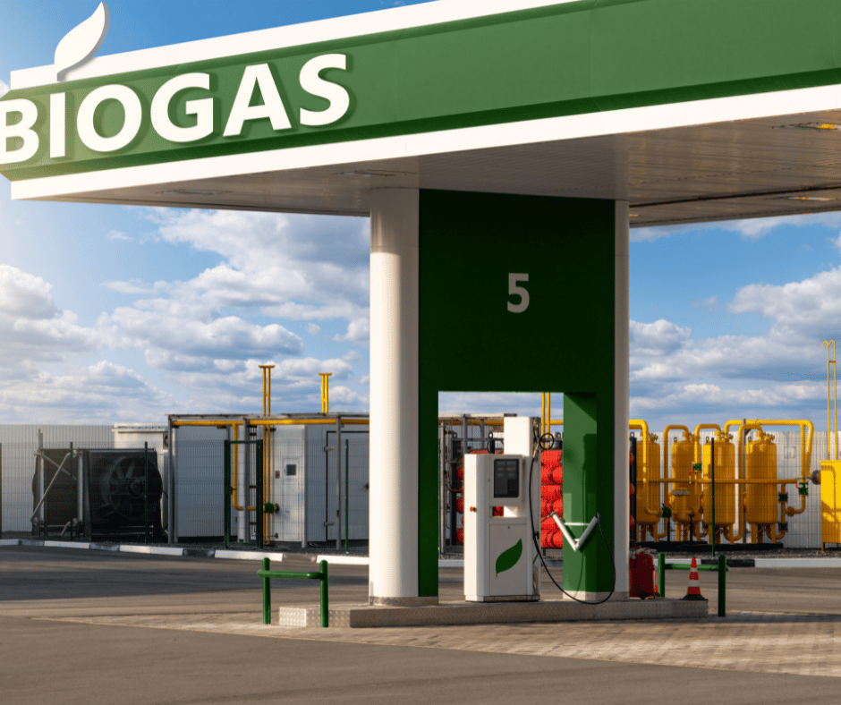 Lire la suite à propos de l’article Grand Défi d’innovation en matière de biogaz au Zimbabwe