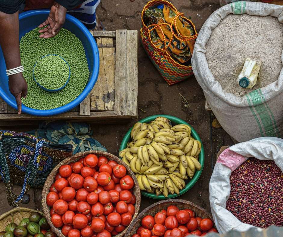 Le programme 2024 de systèmes alimentaires circulaires pour les PME agroalimentaires aux Rwanda