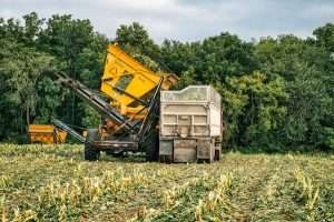 Lire la suite à propos de l’article APPEL À MANIFESTATION D’INTÉRÊT DES ENTREPRISES AGROALIMENTAIRES – 2025