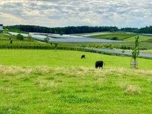 Lire la suite à propos de l’article Subvention de La Fondation SENSE Bruxelles