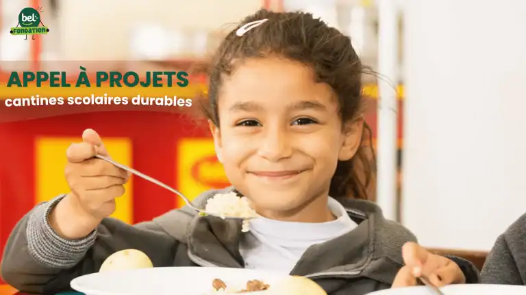 Appel à projets de cantines scolaires durables 2026